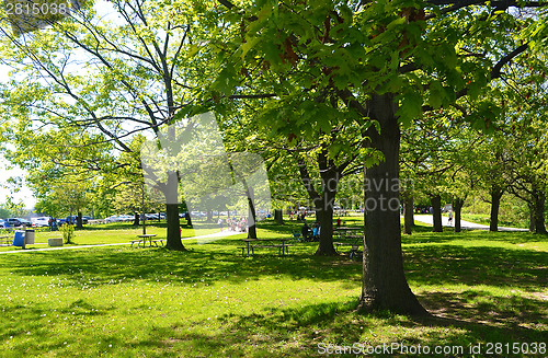 Image of Spring in the park.