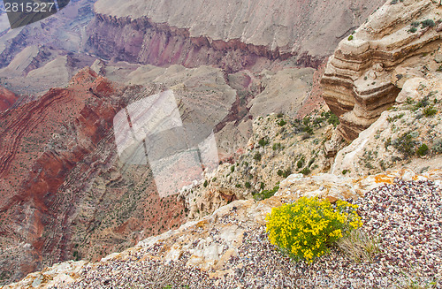 Image of Grand Canyon