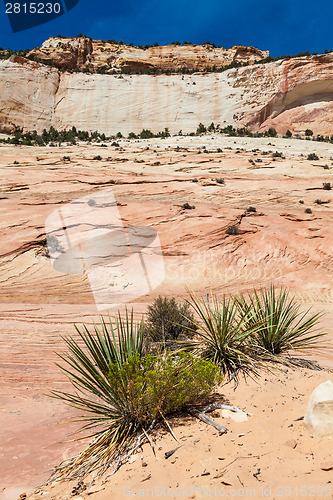 Image of Zion National Park