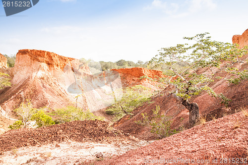 Image of Marafa Canyon - Kenya