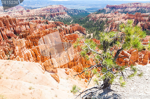 Image of Bryce Canyon