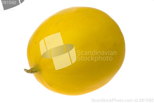 Image of Whole honey white melon