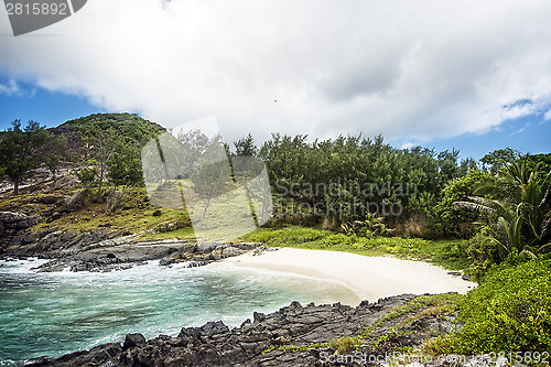 Image of Small sandy beach between frozen lava flows of tropical volcanic