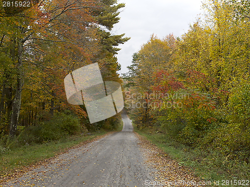 Image of  Autumn, New England