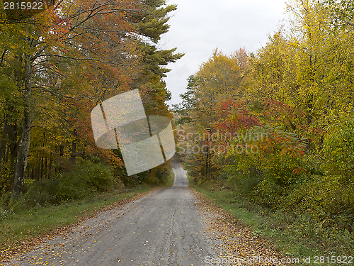 Image of  Autumn, New England