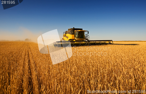 Image of Harvest work