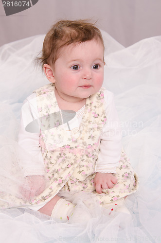 Image of Six-month girl sitting in tulle