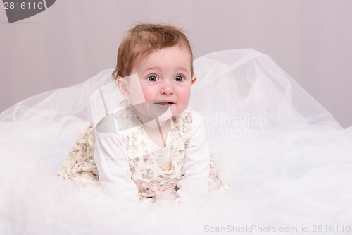 Image of Six-month baby girl sitting on a couch in tulle