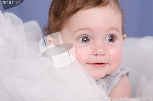 Image of Portrait of girl in a six-month tissue