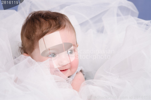 Image of Infant in tulle