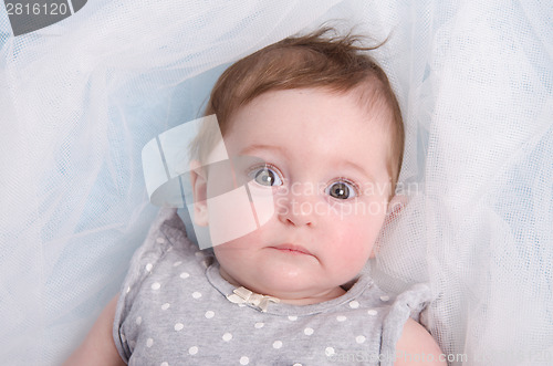 Image of Portrait of a six-month girl lying in bed