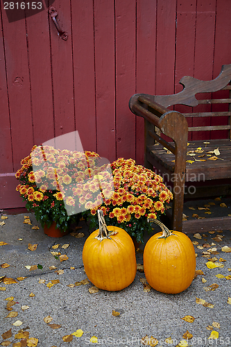 Image of Fall, Pumpkin 