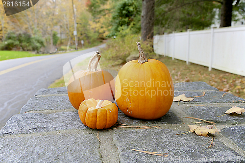 Image of Fall, Pumpkin 