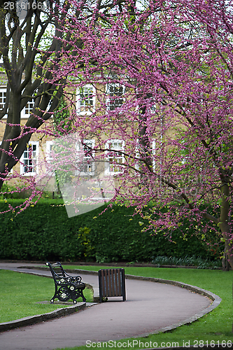 Image of Park 