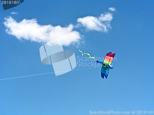 Image of Kite Flying