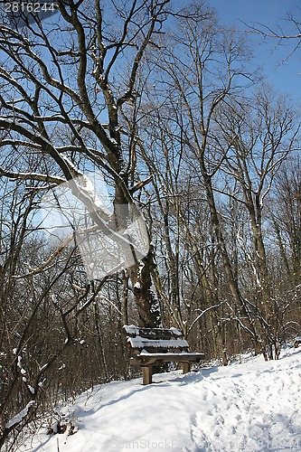 Image of winter landscape