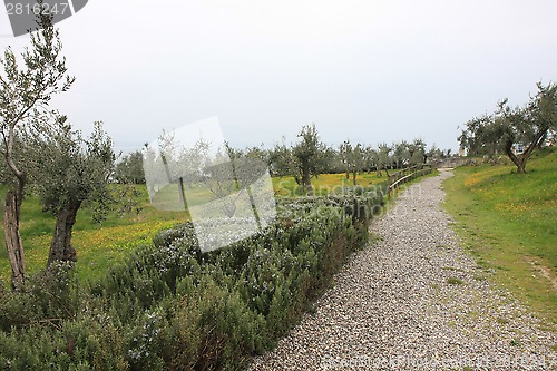 Image of Sirmione
