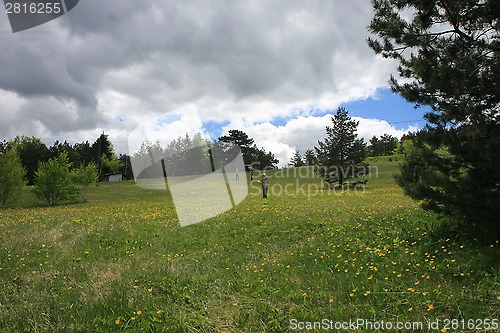 Image of Meadow 