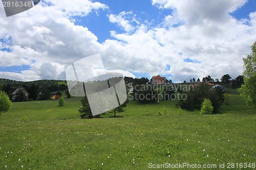 Image of Meadow