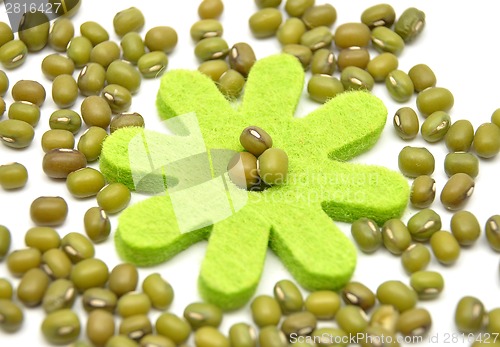 Image of Sprouting mung bean