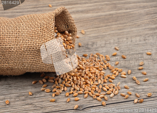 Image of Cereal bag on wood