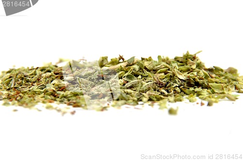 Image of Oregano on white