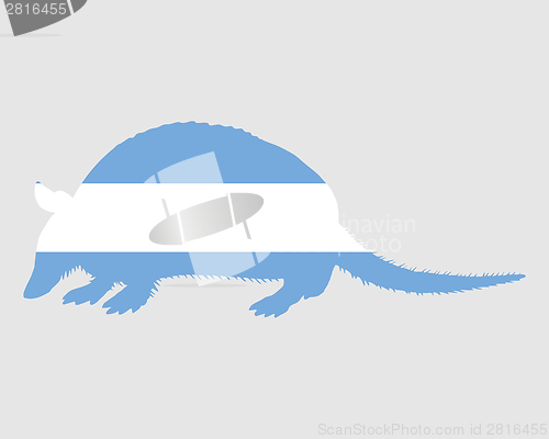 Image of Armadillo Argentina
