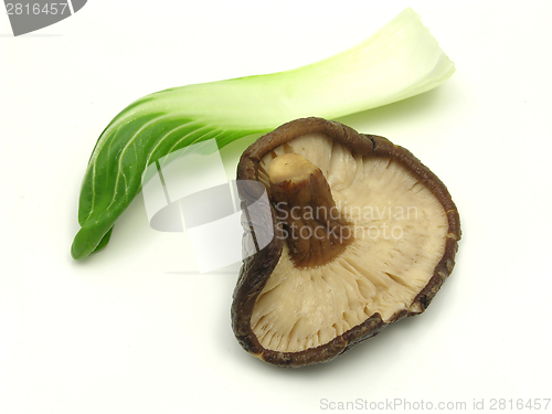 Image of Shiitake and pak choi on white background