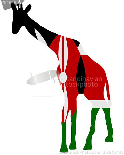 Image of Kenya giraffe