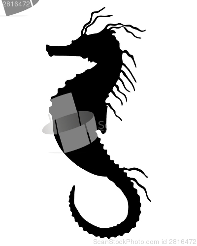 Image of Seahorse Silhouette