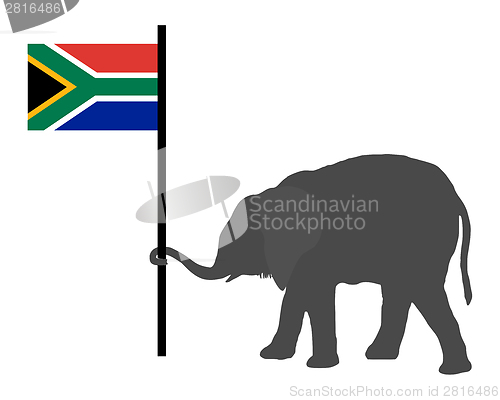 Image of Elephant baby with flag of south Africa