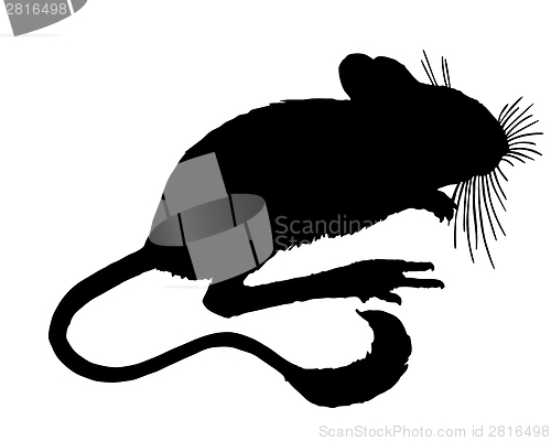 Image of Dipodid silhouette