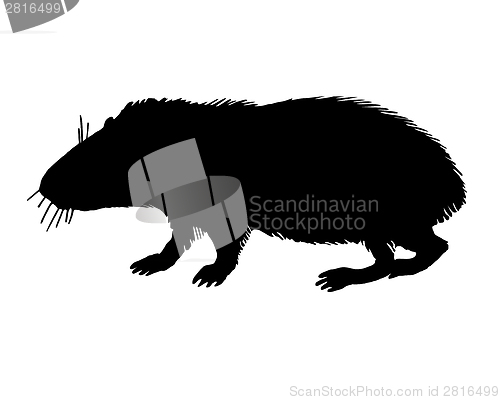 Image of The black silhouette of a guinea pig on white