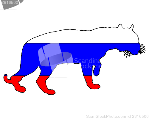 Image of Russia tiger