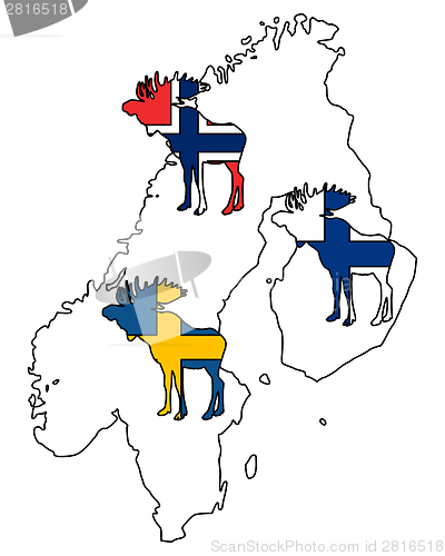 Image of Scandinavian moose