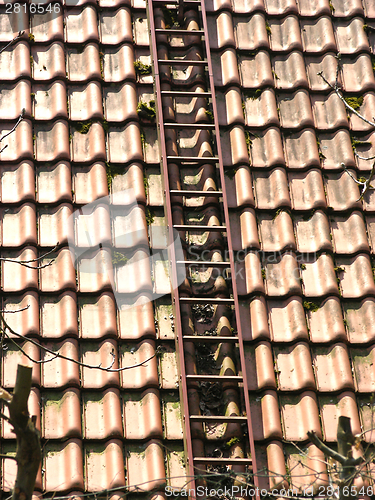 Image of A ladder on the roof of a house