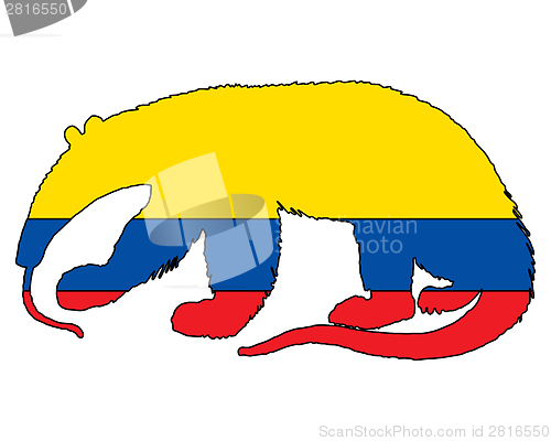 Image of Anteater  Ecuador