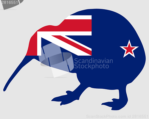 Image of New Zealand kiwi