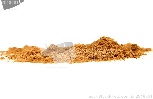 Image of Cinnamon on white