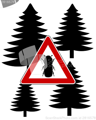 Image of Bark-beetle attention sign