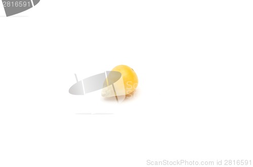 Image of Detailed but simple image of  popcorn on white