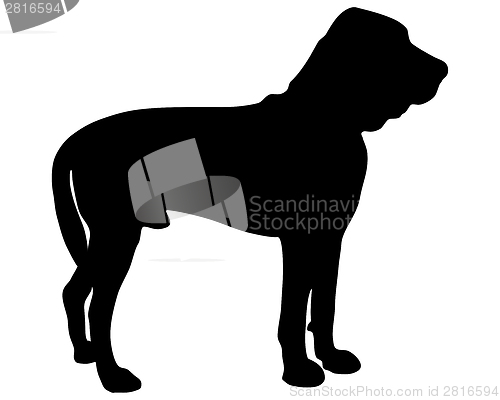 Image of Bloodhound Silhouette