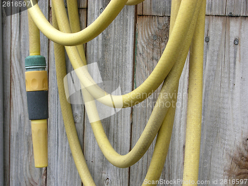 Image of Yellow garden hose arranged on a wooden wall