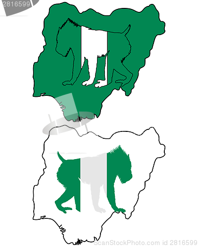 Image of Mandrill Nigeria