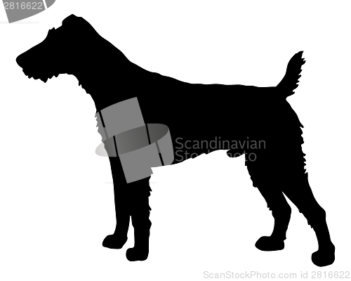 Image of The black silhouette of a Fox Terrier