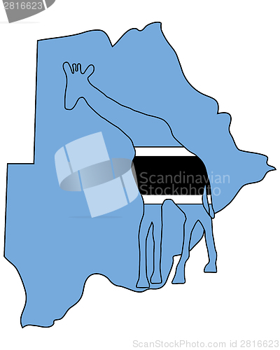 Image of Botswana giraffe