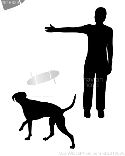 Image of Dog training (obedience): Command: Go right!