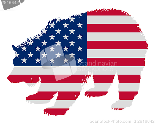 Image of Grizzly in stars and stripes