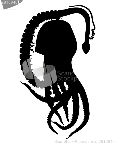 Image of Blanket octopus Silhouette