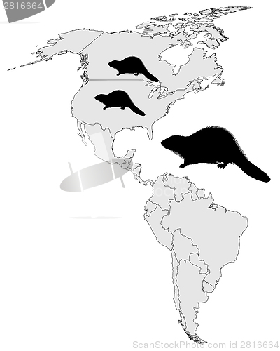 Image of Distribution of canadian beaver 